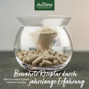 Preview: ZeckenSchild - natürliche Zeckenabwehr für Hunde - 60 Tabletten